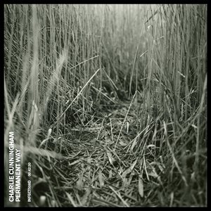 国产AV一区仑乱久久精品
